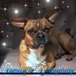 Meet your Posher, Doneena